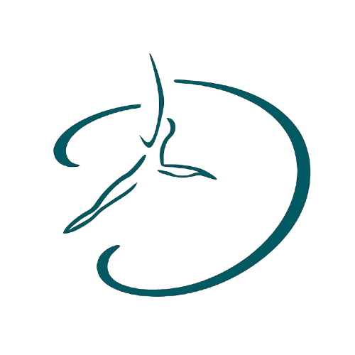 logo - danspirations